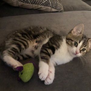 Meet your Posher, Katie